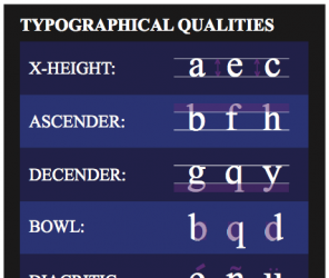 Infographic